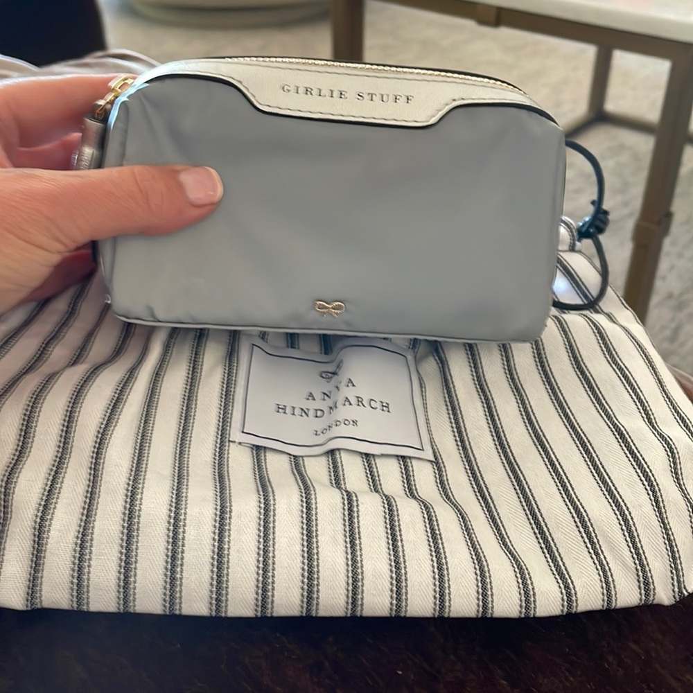 Anya hindmarch cosmetics bag